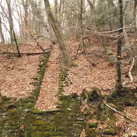 Casa La Selva Lägenhet *